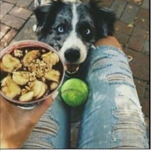 LF Carmar railroad stripe jeans size 26